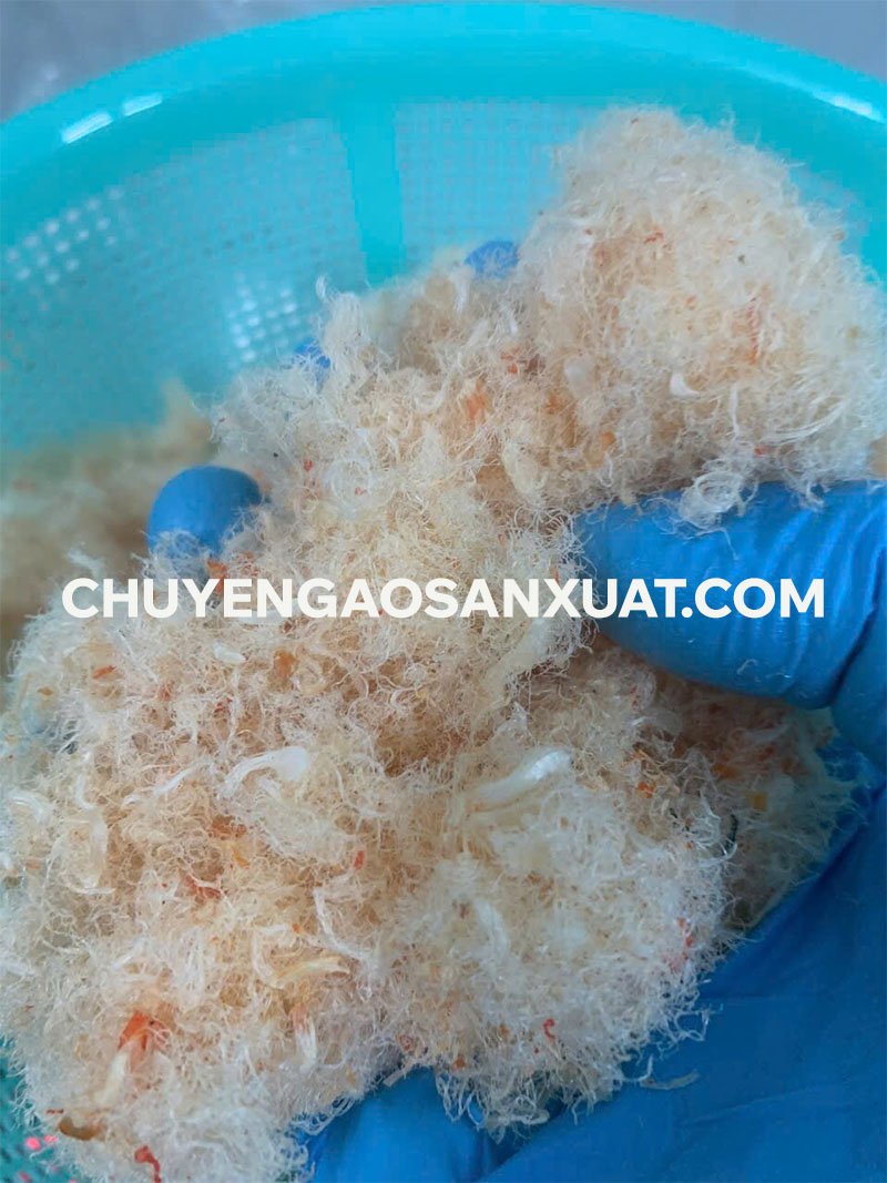 Chuyển giao công nghệ sản xuất chà bông tôm