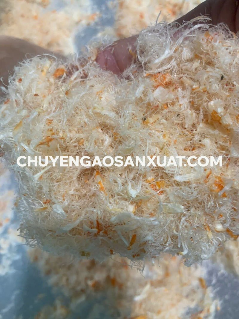 Chuyển giao công nghệ sản xuất chà bông tôm