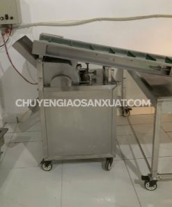 Máy sấy băng tải 400kg/h