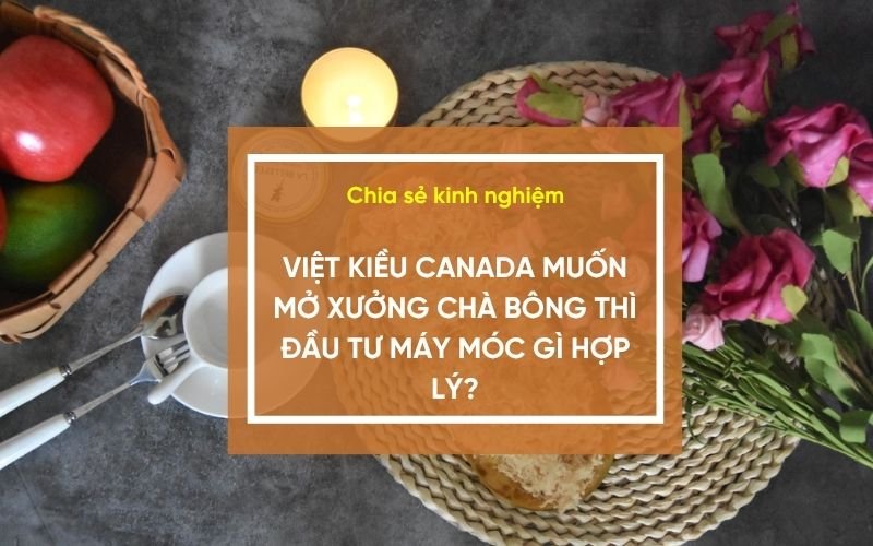Việt kiều Canada muốn mở xưởng chà bông thì đầu tư máy móc gì hợp lý?